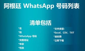 阿根廷 WhatsApp 号码列表