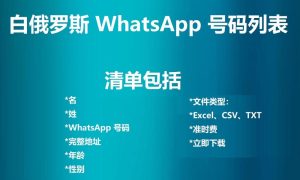 白俄罗斯 WhatsApp 号码列表