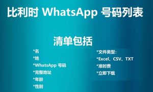 比利时 WhatsApp 号码列表