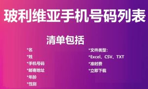 玻利维亚电话号码列表