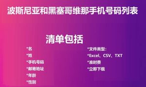 波斯尼亚和黑塞哥维那电话号码列表