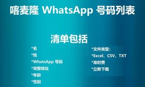 喀麦隆 WhatsApp 号码列表