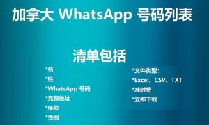 加拿大 WhatsApp 号码列表