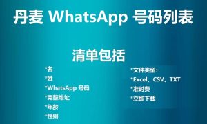 丹麦 WhatsApp 号码列表