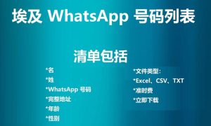埃及 WhatsApp 号码列表
