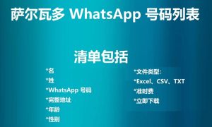 萨尔瓦多 WhatsApp 号码列表