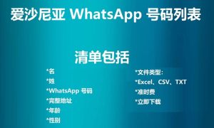 爱沙尼亚 WhatsApp 号码列表