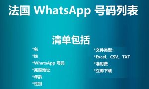 法国 WhatsApp 号码列表