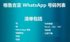 格鲁吉亚 WhatsApp 号码列表