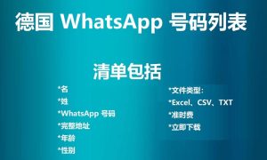 德国 WhatsApp 号码列表