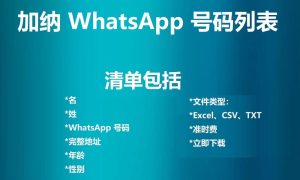 加纳 WhatsApp 号码列表