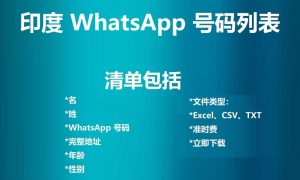 印度 WhatsApp 号码列表