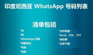 印度尼西亚 WhatsApp 号码列表