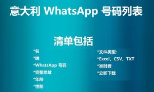 意大利 WhatsApp 号码列表