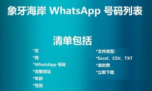 象牙海岸 WhatsApp 号码列表
