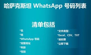 哈萨克斯坦 WhatsApp 号码列表