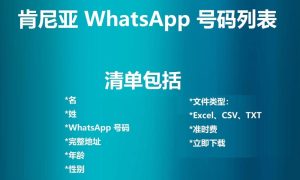 肯尼亚 WhatsApp 号码列表