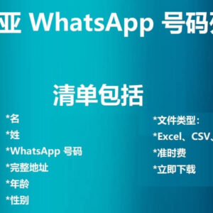 肯尼亚 WhatsApp 号码列表