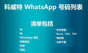 科威特 WhatsApp 号码列表