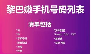 黎巴嫩电话号码列表