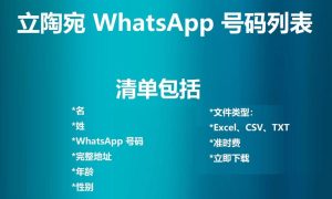 立陶宛 WhatsApp 号码列表