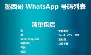 墨西哥 WhatsApp 号码列表