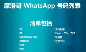 摩洛哥 WhatsApp 号码列表