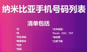 纳米比亚电话号码列表