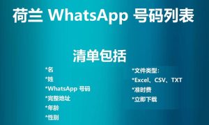 荷兰 WhatsApp 号码列表