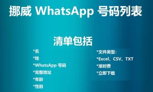 挪威 WhatsApp 号码列表