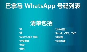 巴拿马 WhatsApp 号码列表