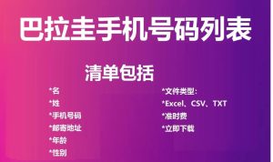 巴拉圭电话号码列表