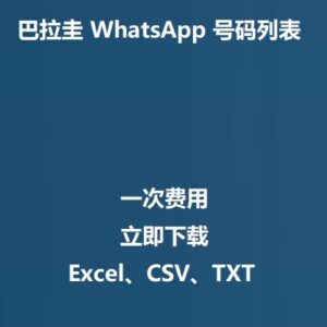 巴拉圭 WhatsApp 号码列表