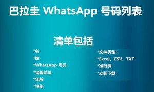 巴拉圭 WhatsApp 号码列表