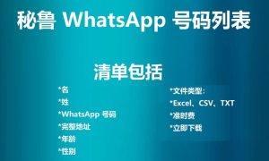 秘鲁 WhatsApp 号码列表
