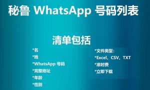 菲律宾 WhatsApp 号码列表