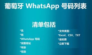 葡萄牙 WhatsApp 号码列表