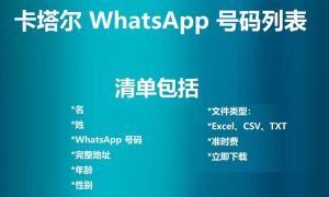 卡塔尔 WhatsApp 号码列表
