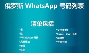 俄罗斯 WhatsApp 号码列表