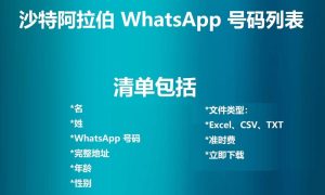 沙特阿拉伯 WhatsApp 号码列表