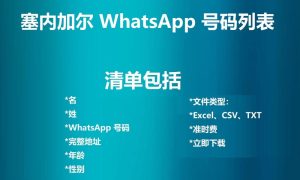 塞内加尔 WhatsApp 号码列表