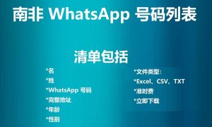 南非 WhatsApp 号码列表