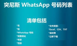 突尼斯 WhatsApp 号码列表