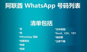 阿联酋 WhatsApp 号码列表