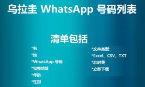 乌拉圭 WhatsApp 号码列表