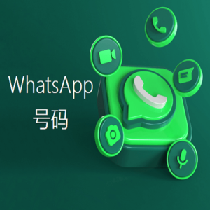 WhatsApp 号码