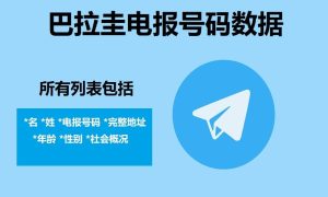 巴拉圭电报号码数据